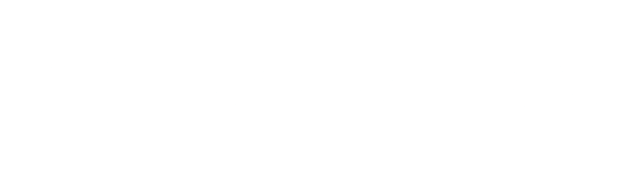 BNP Paribas Logo